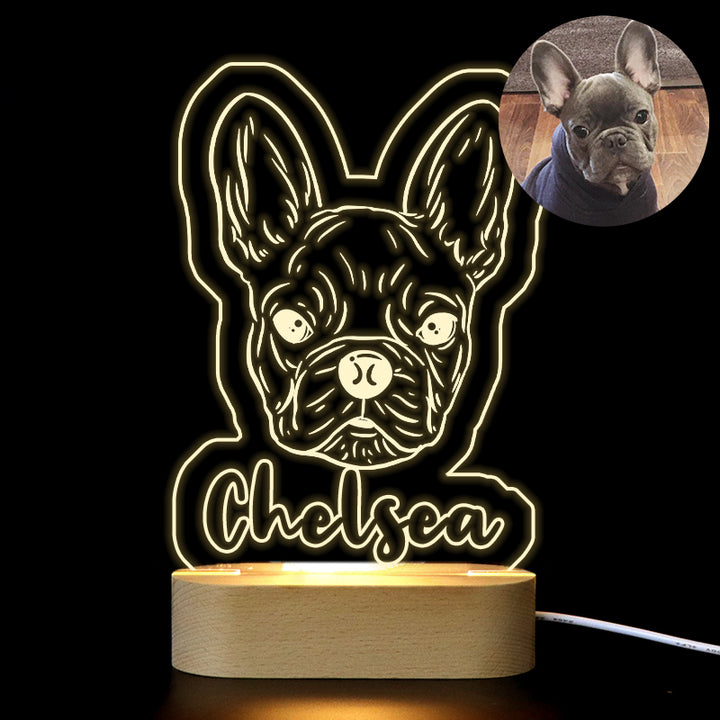 Custom Photo Light, Personalized Photo 3d Acrylic Illusion Lamp For Pet Lover, Couples - Oarse