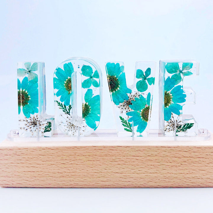 Custom Letter Led Lights, Daisy Night Light, Dried Flowers For Valentines, Christmas - Oarse