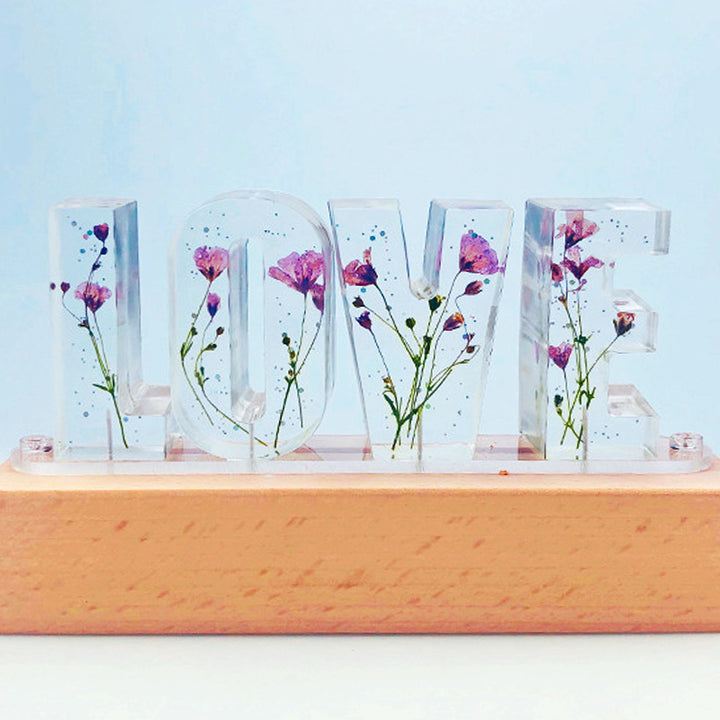 Custom Letter Led Lights, Daisy Night Light, Dried Flowers For Valentines, Christmas - Oarse